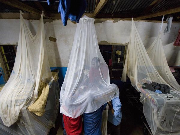 http://science.nationalgeographic.com/science/photos/malaria/#/mosquito-nets_1104_600x450.jpg